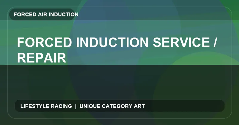 Forced Induction Service / Repair